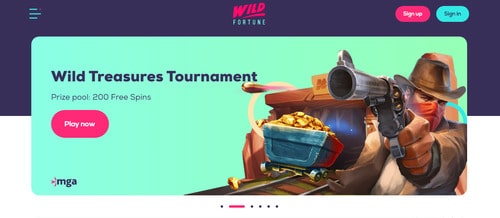 Wild Fortune casino screenshot 3